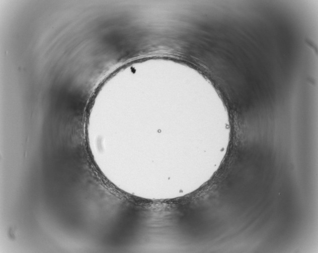 X0000103911316200810031203