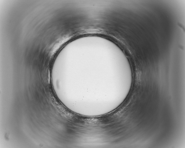 X0000103911317200810031203