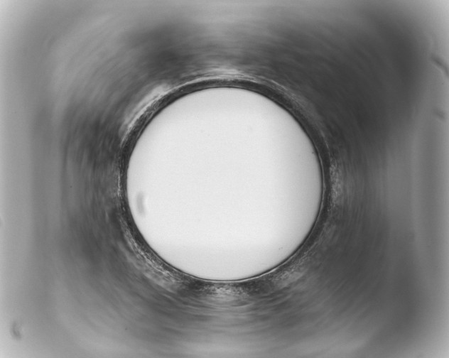 X0000103911318200810031203