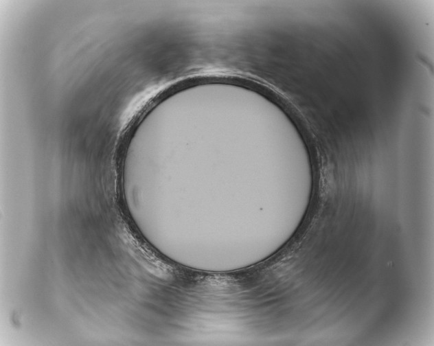 X0000103911319200810031203