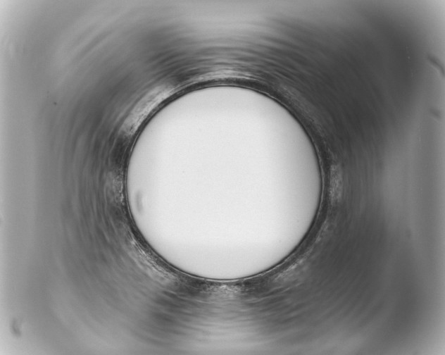X0000103911321200810031203