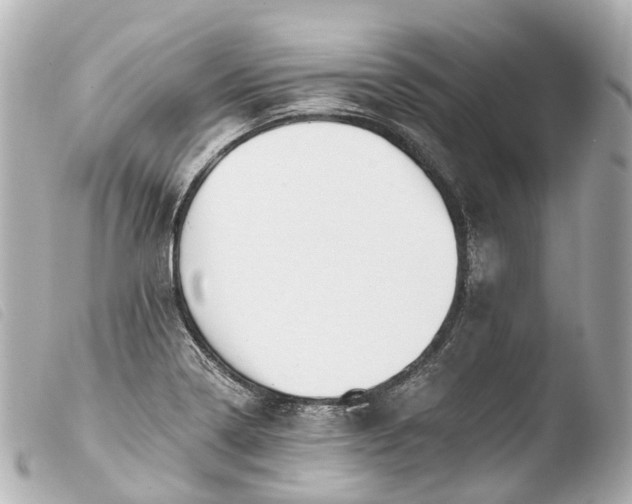 X0000103911322200810031203