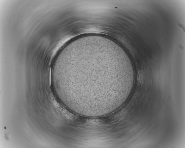X0000103911323200810031204