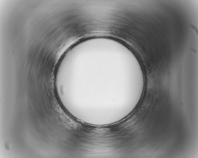 X0000103911325200810031204