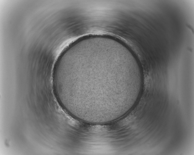 X0000103911327200810031204