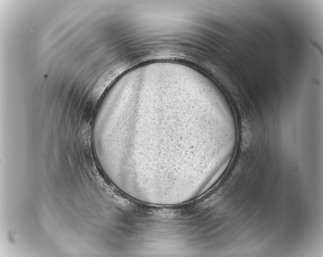X0000103911329200810031204