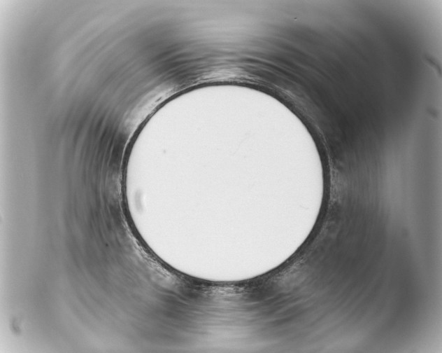 X0000103911330200810031204