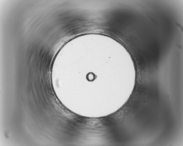 X0000103911332200810031204