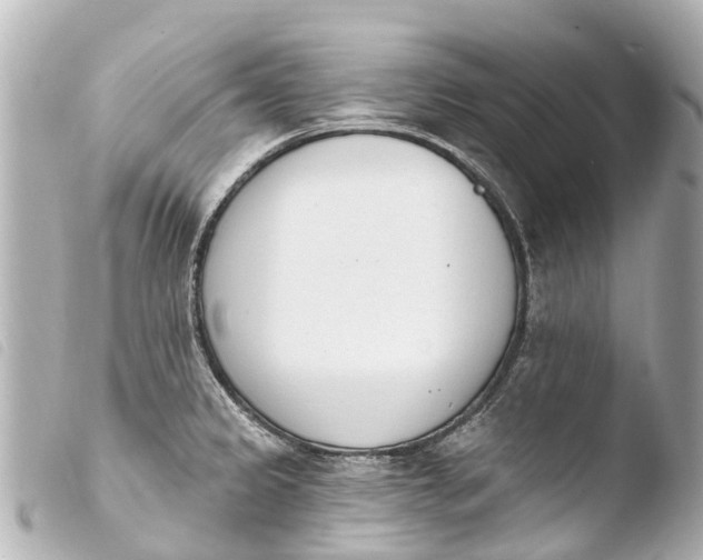 X0000103911333200810031204