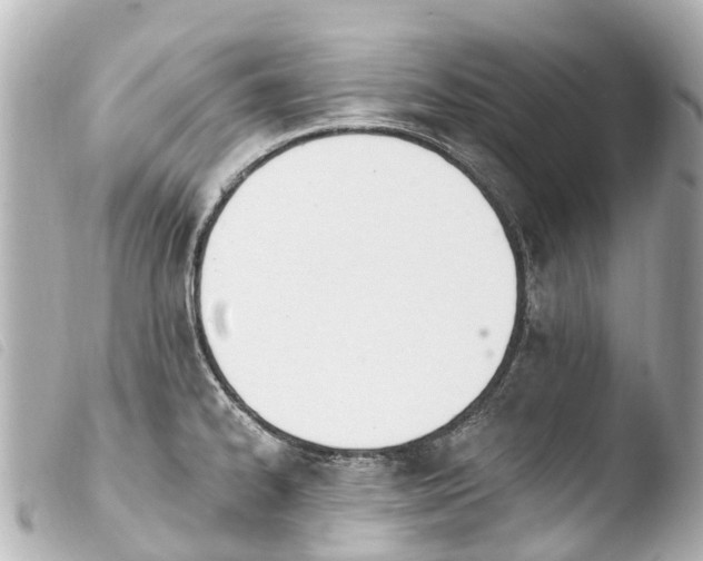 X0000103911334200810031204