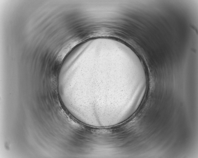 X0000103911337200810031204