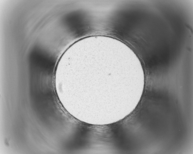 X0000103911340200810031204