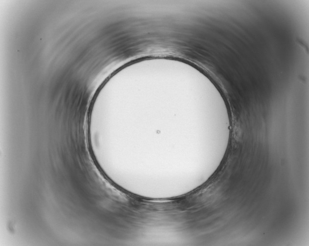 X0000103911343200810031204