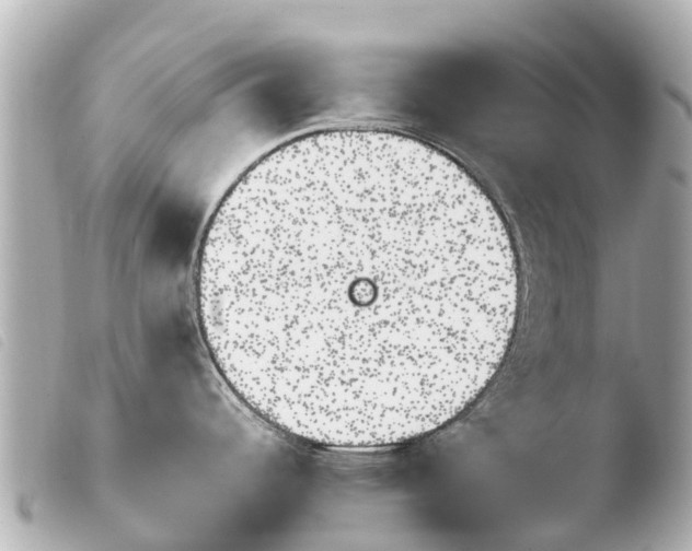 X0000103911344200810031204