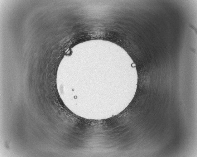 X0000103911345200810031203