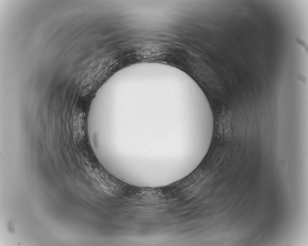 X0000103911346200810031203