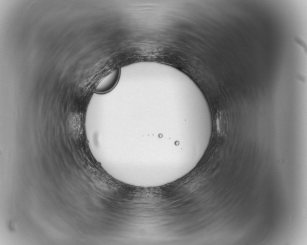 X0000103911347200810031203