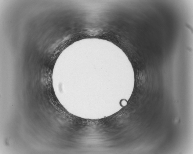 X0000103911349200810031203