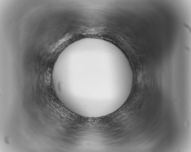 X0000103911350200810031203
