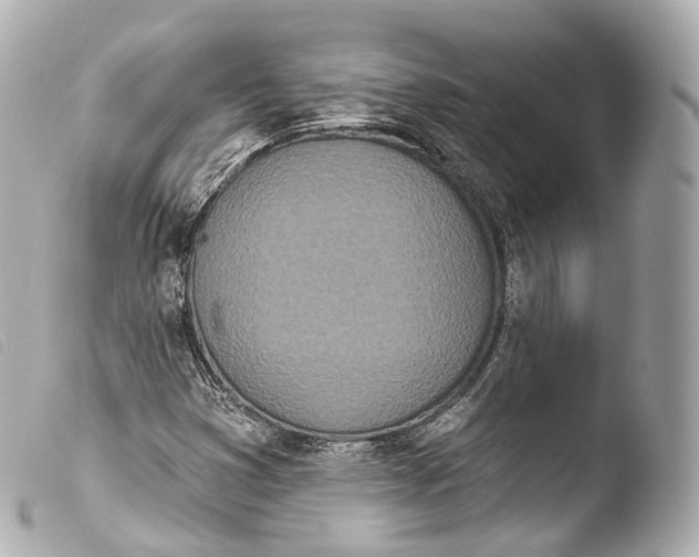 X0000103911353200810031203