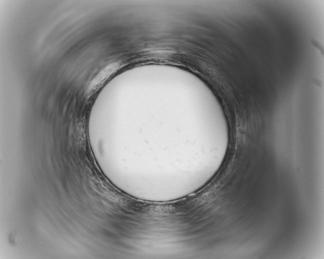 X0000103911354200810031203
