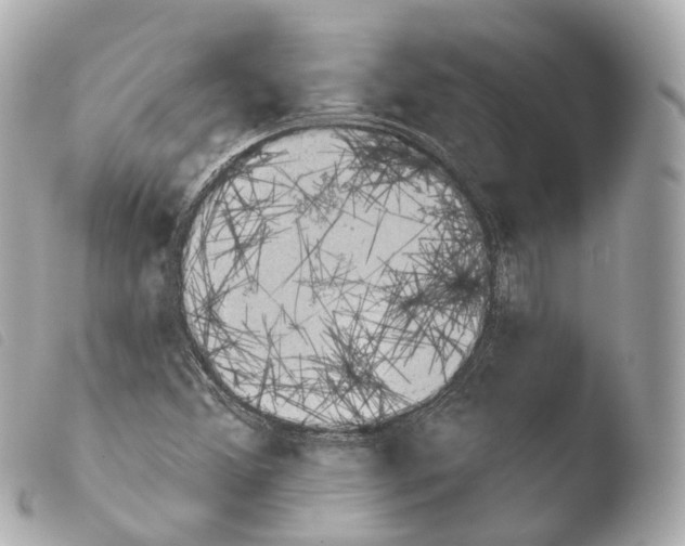 X0000103911356200810031203