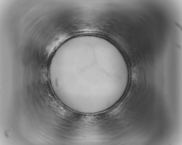 X0000103911357200810031203