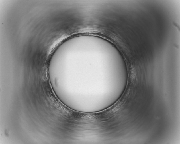 X0000103911358200810031203