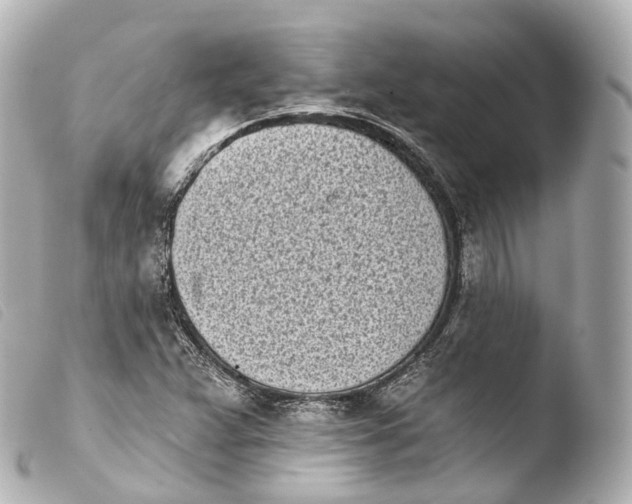 X0000103911359200810031203
