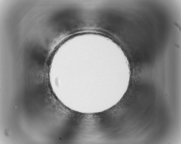 X0000103911360200810031203