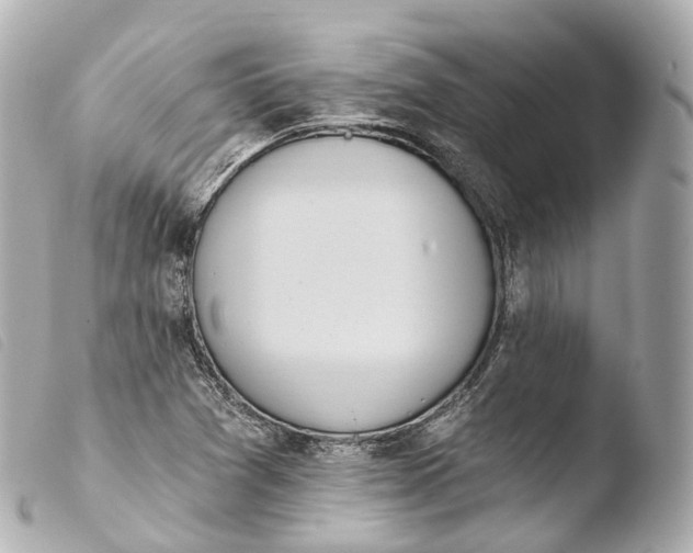 X0000103911361200810031203