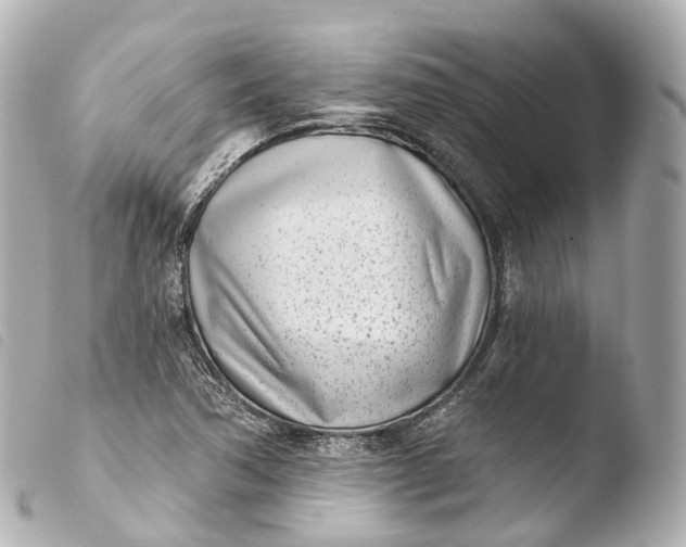 X0000103911362200810031203