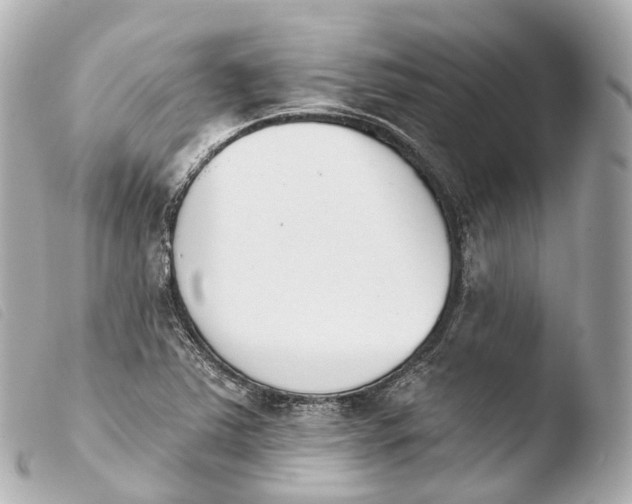 X0000103911363200810031203