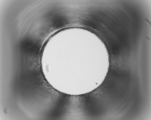 X0000103911364200810031203