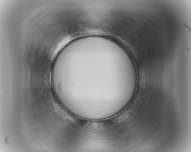X0000103911365200810031203