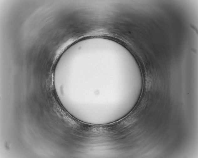 X0000103911366200810031203