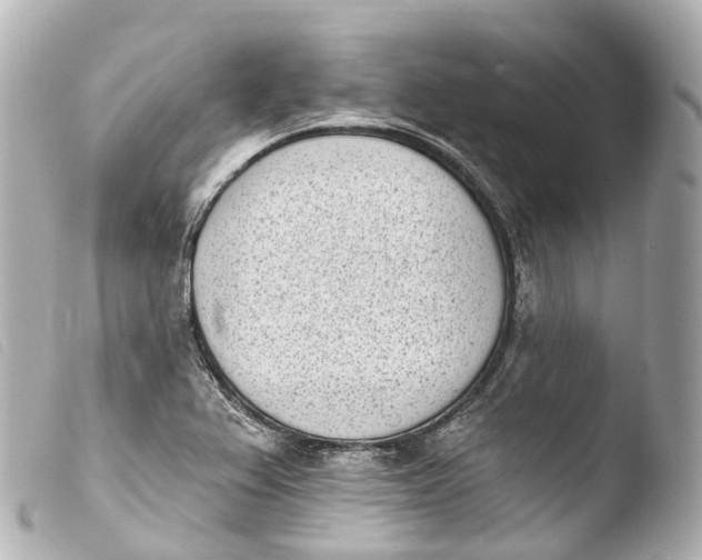 X0000103911367200810031203