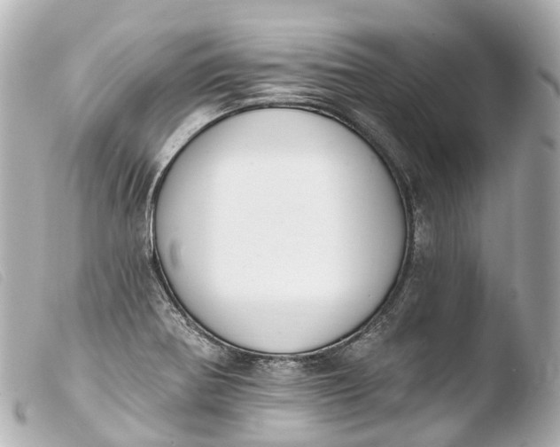 X0000103911370200810031203