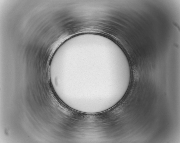 X0000103911371200810031203