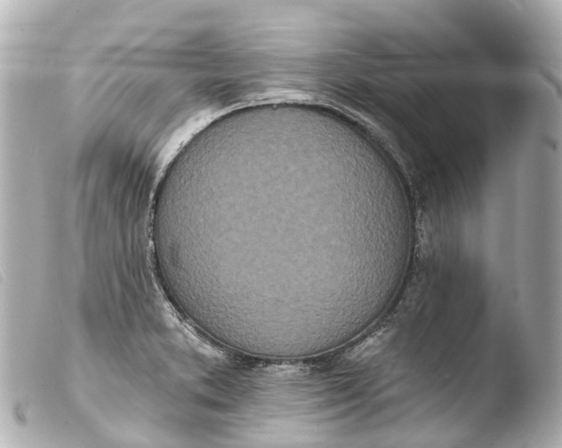 X0000103911373200810031203