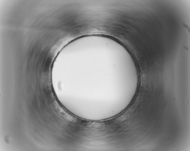 X0000103911374200810031203