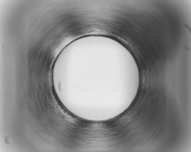 X0000103911375200810031203