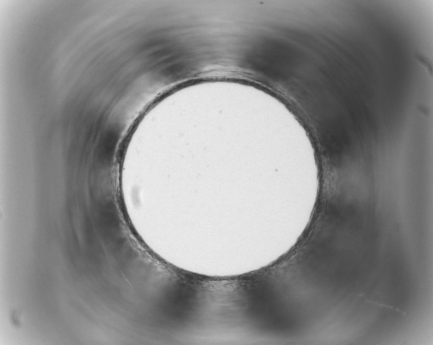 X0000103911376200810031203