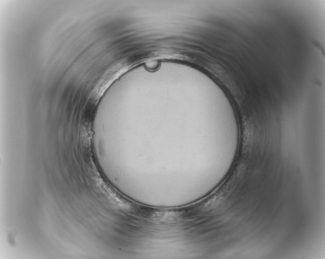 X0000103911377200810031203
