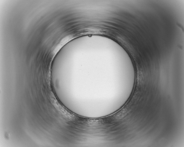 X0000103911378200810031203