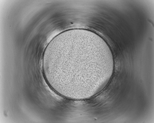 X0000103911383200810031203