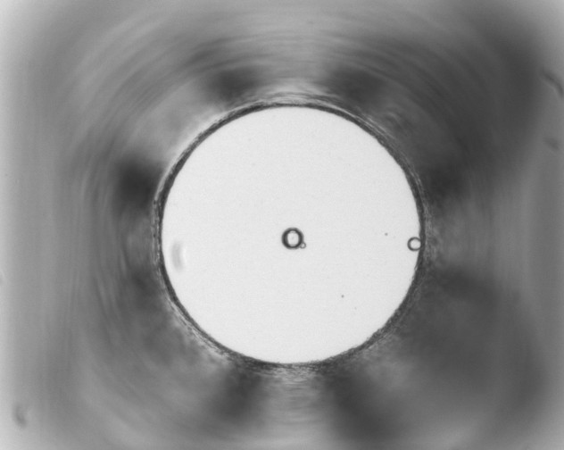X0000103911384200810031203