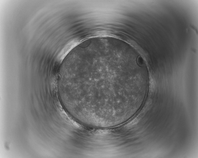 X0000103911385200810031202