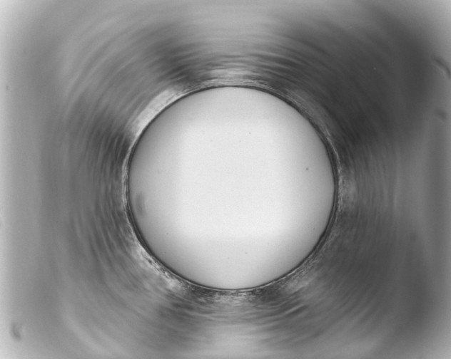 X0000103911386200810031202