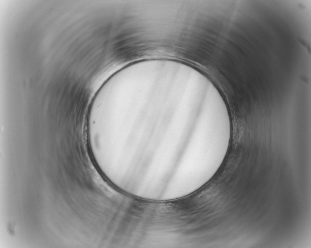 X0000103911387200810031202
